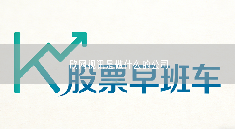 欣网视讯是做什么的公司