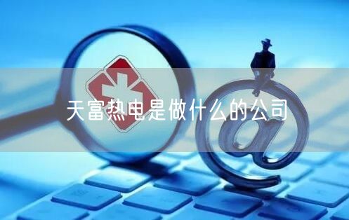 天富热电是做什么的公司