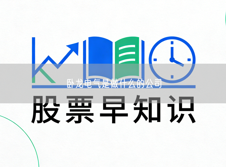 卧龙电气是做什么的公司