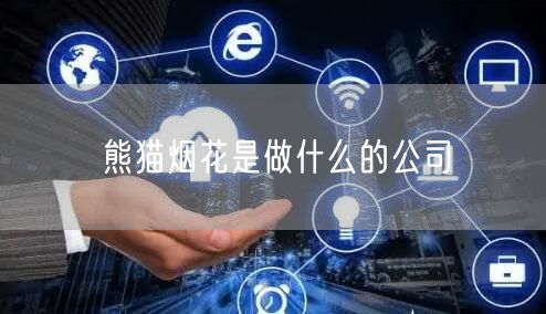 熊猫烟花是做什么的公司