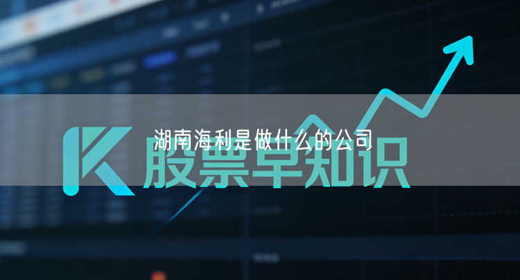 湖南海利是做什么的公司