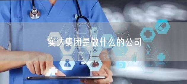 实达集团是做什么的公司