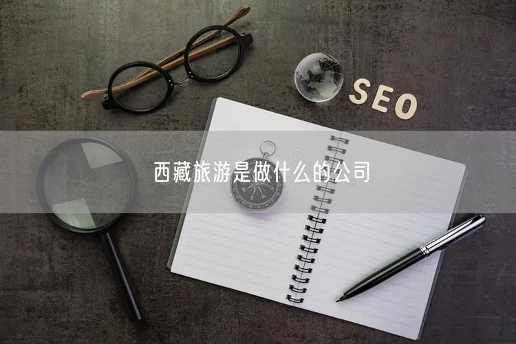 西藏旅游是做什么的公司