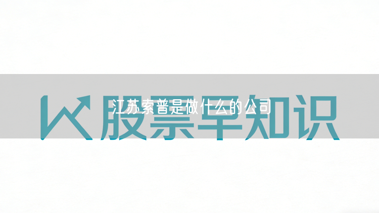 江苏索普是做什么的公司