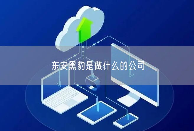 东安黑豹是做什么的公司