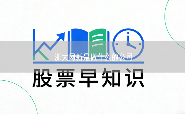 浙大网新是做什么的公司
