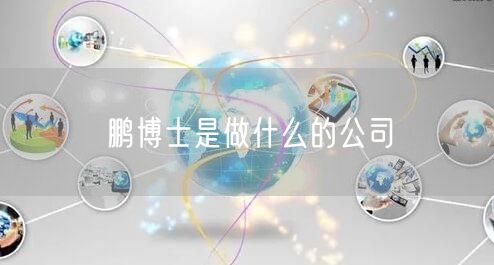 鹏博士是做什么的公司