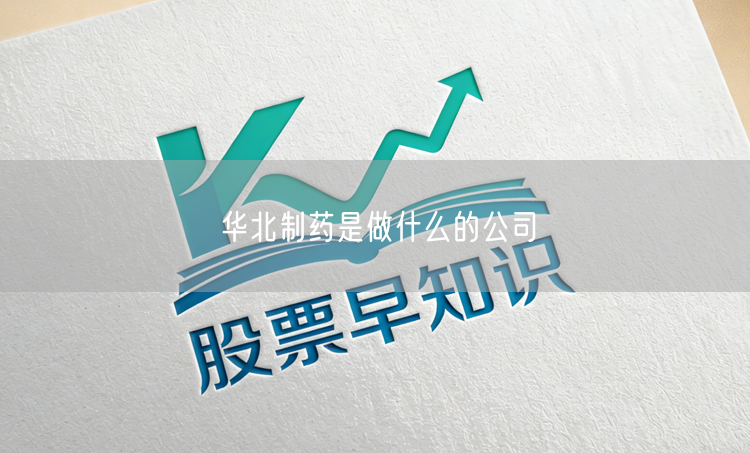 华北制药是做什么的公司
