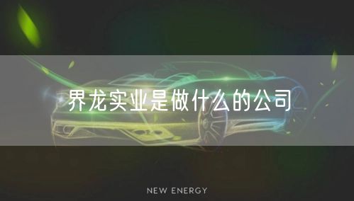 界龙实业是做什么的公司
