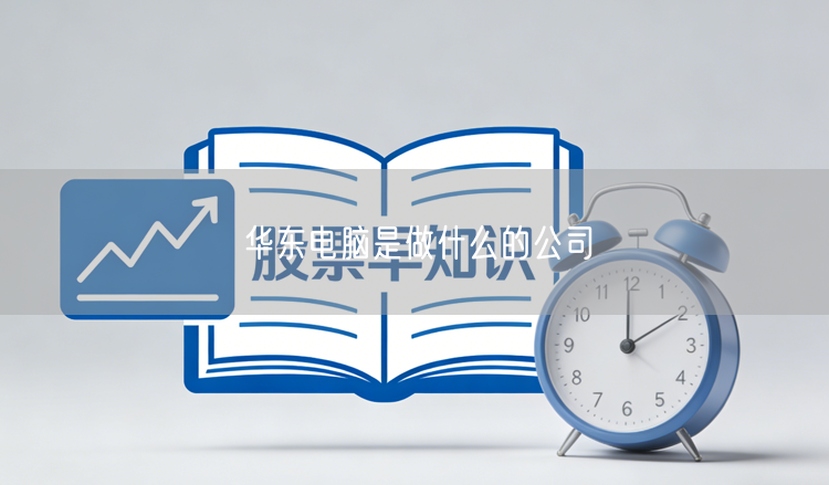 华东电脑是做什么的公司