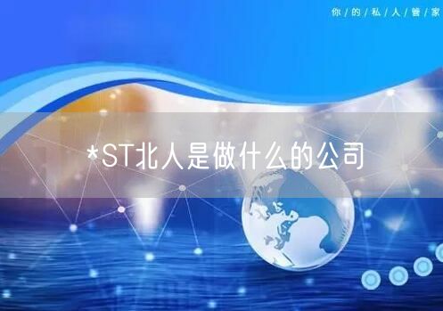 *ST北人是做什么的公司