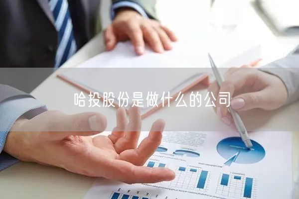 哈投股份是做什么的公司