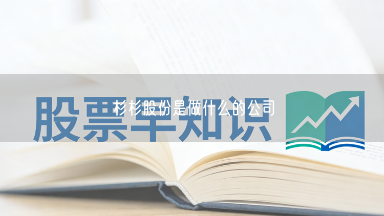 杉杉股份是做什么的公司