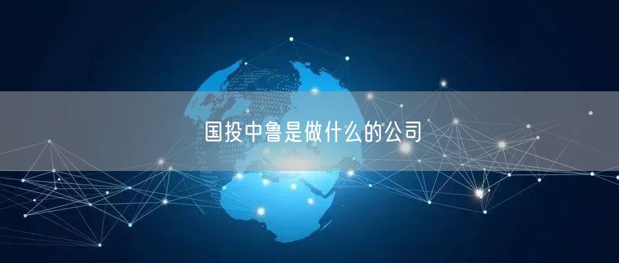 国投中鲁是做什么的公司