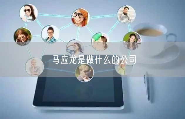 马应龙是做什么的公司