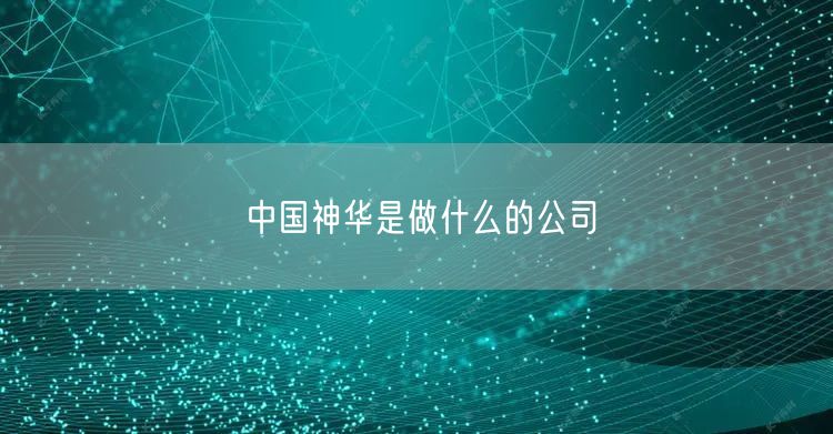 中国神华是做什么的公司