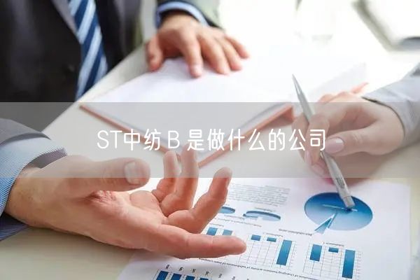 ST中纺Ｂ是做什么的公司