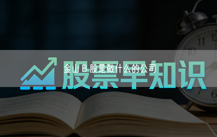 金山Ｂ股是做什么的公司