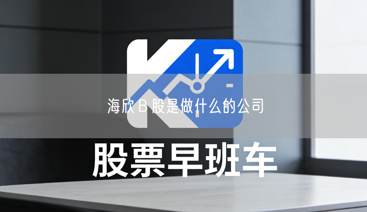 海欣Ｂ股是做什么的公司