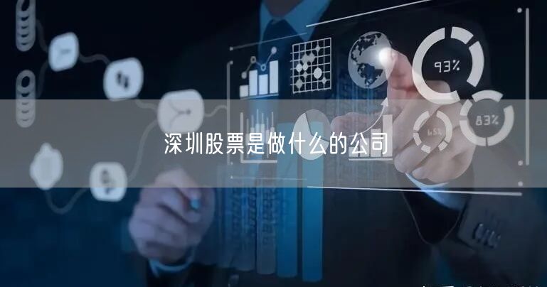 深圳股票是做什么的公司