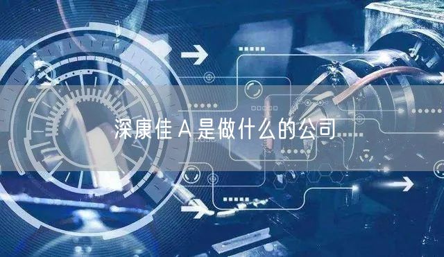 深康佳Ａ是做什么的公司