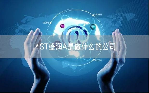 *ST盛润A是做什么的公司