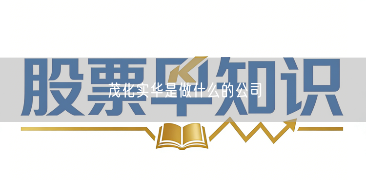 茂化实华是做什么的公司