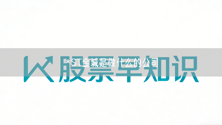 *ST金城是做什么的公司