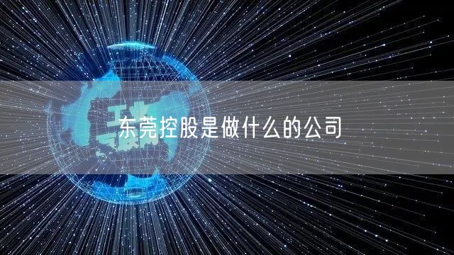 东莞控股是做什么的公司
