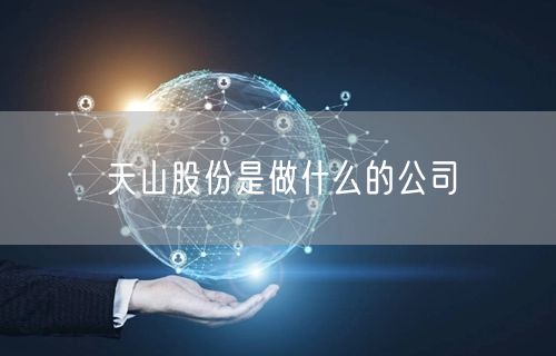 天山股份是做什么的公司