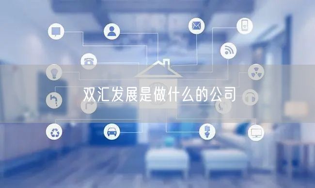 双汇发展是做什么的公司