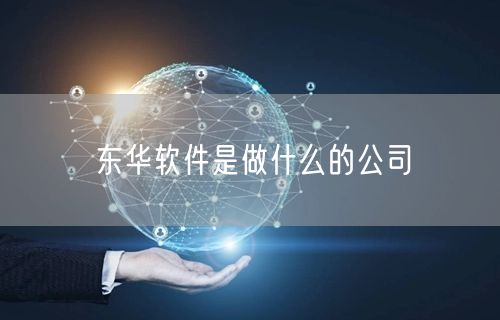 东华软件是做什么的公司