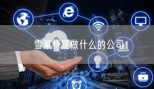 雪莱特是做什么的公司