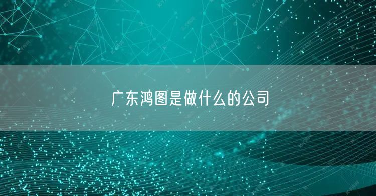 广东鸿图是做什么的公司