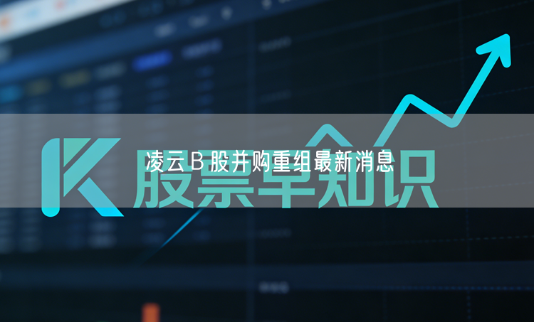 凌云Ｂ股并购重组最新消息