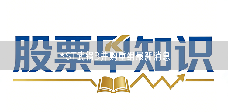 *ST武锅B并购重组最新消息