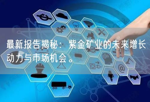最新报告揭秘：紫金矿业的未来增长动力与市场机会。