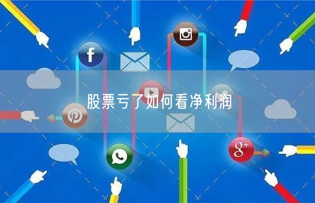 股票亏了如何看净利润
